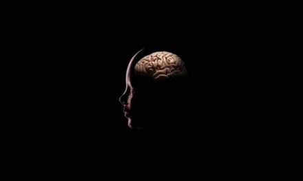 What is the Memory Capacity of the Human Brain ?