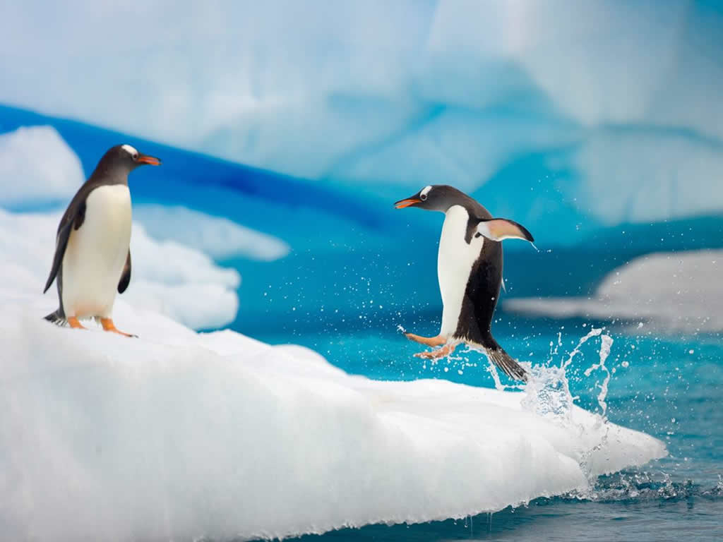 How long has Antarctica been frozen over ?