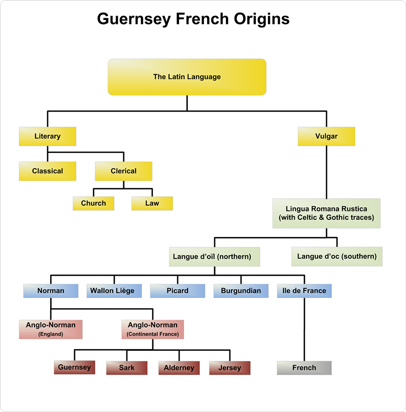 The Origins of Guernsey French and Other Channel Island Languages