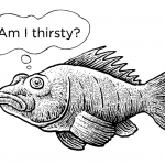 Do Fish Get Thirsty?
