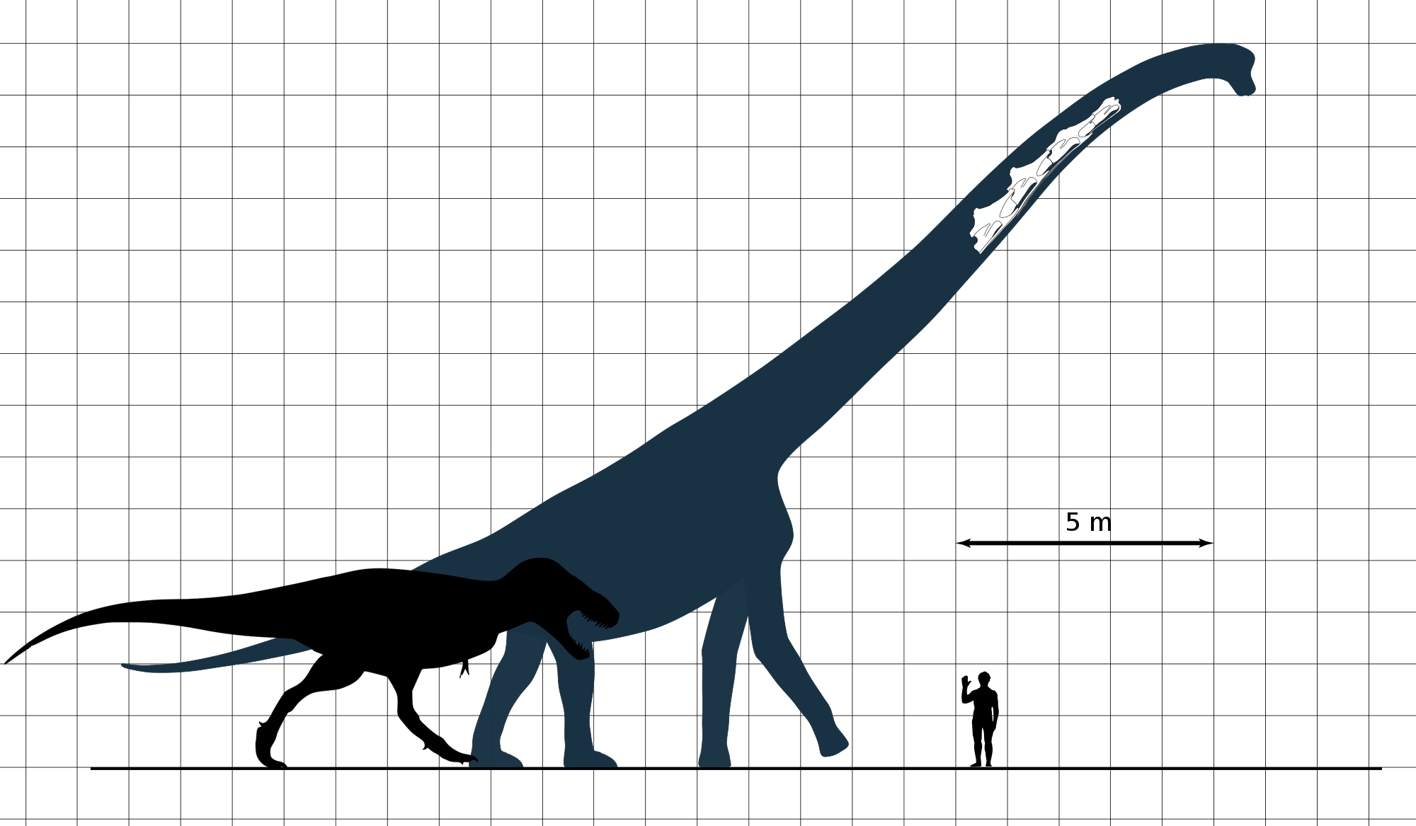 Why Were Some Dinosaurs so Large ?
