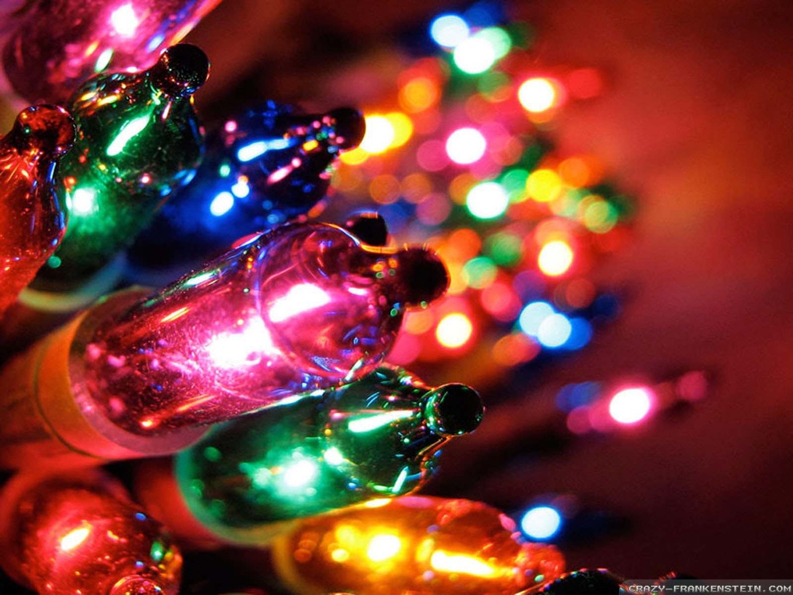 Did you Know – Christmas tree lights were invented just 4 years after they the light bulb was invented ?