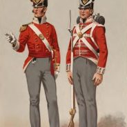 The Redcoats are Coming ! - But Why Were the British 'Red Coats', Red ...