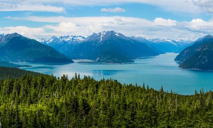 How to Buy Your Own Country : The Biggest Real Estate Deal in History – Alaska